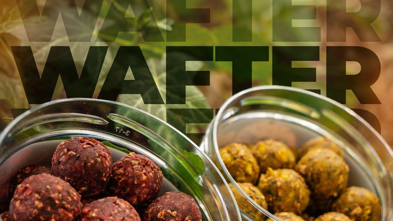 KARPFENANGELN MIT WAFTER: Natürlich, effektiv und erfolgreich!