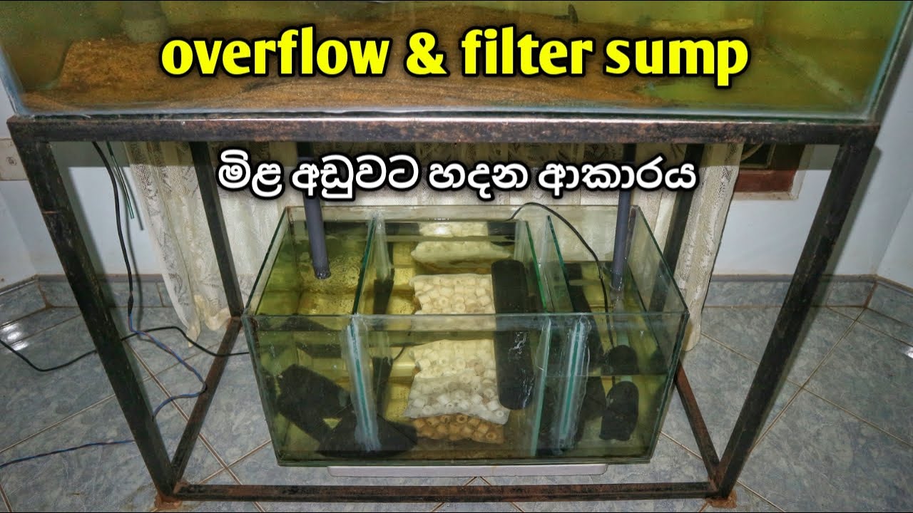 ෆිල්ටර් සම්ප් එකක් හදන හැටි | How to: Sump & Overflow