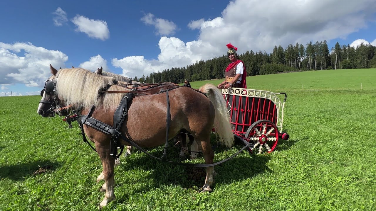 Rossfest St. Märgen 2022