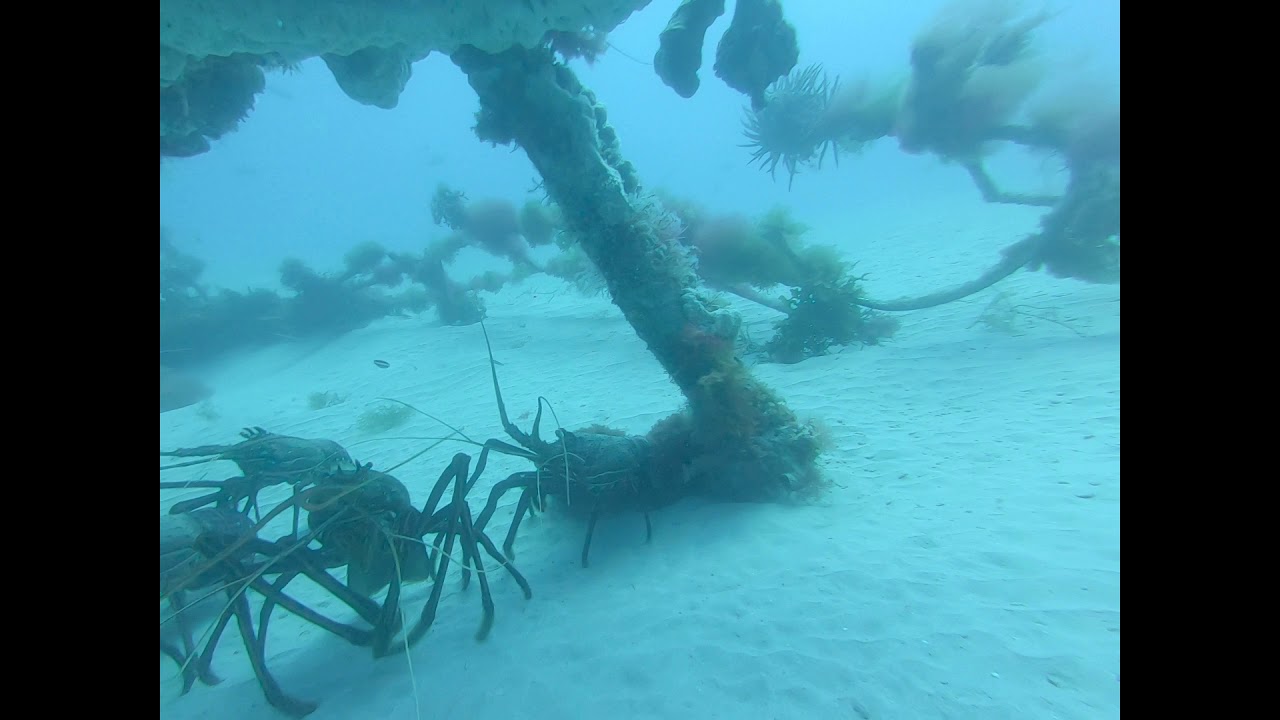 sunken treasure