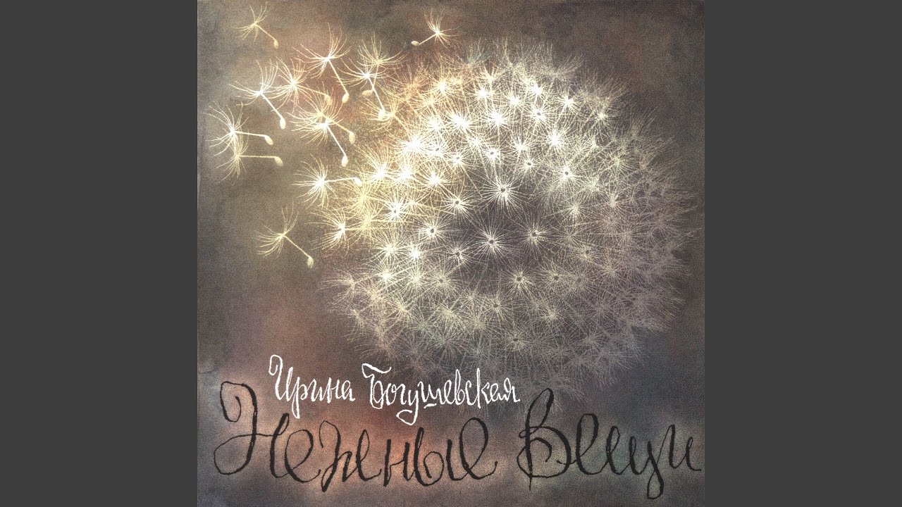 Наперегонки с волной
