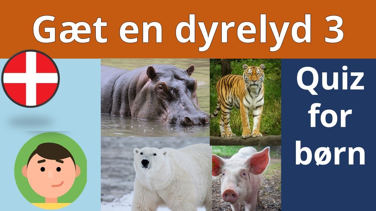 G&aelig;t en dyrelyd 3 (dyrequiz for b&oslash;rn)