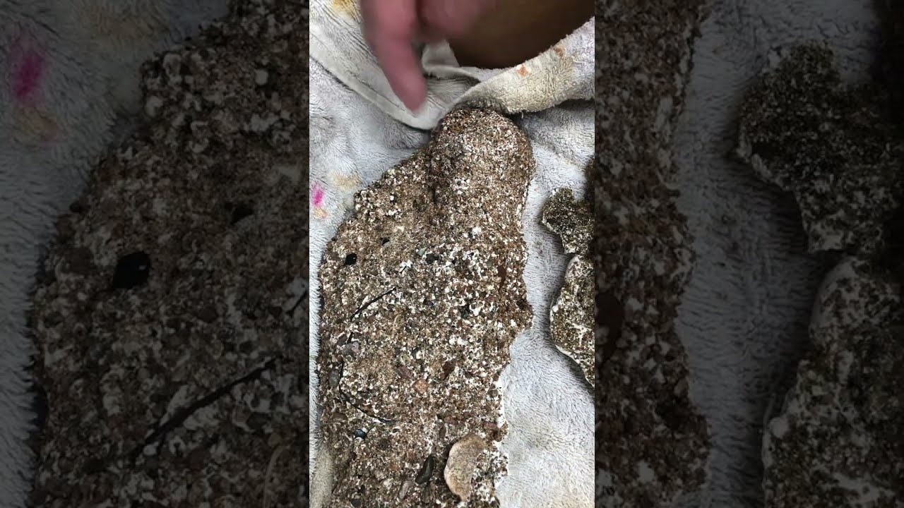 Big Toe prints casts another individual with 6 toes 29th December 2022