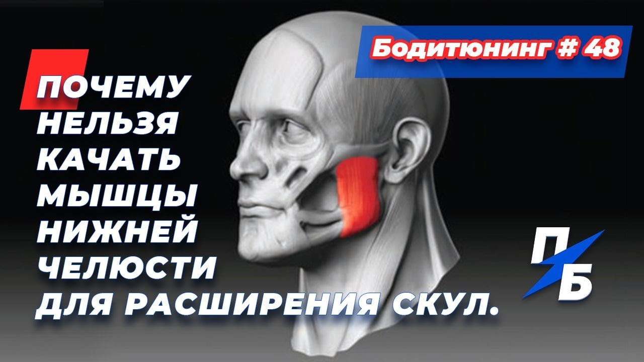 Почему нельзя качать мышцы челюсти для расширения скул. Какие проблемы это принесёт. Бодитюнинг #48