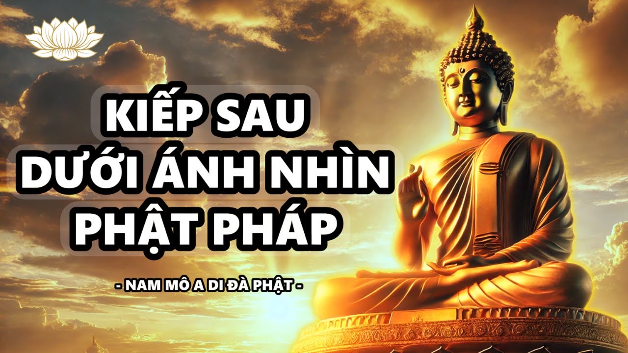Kiếp Sau Dưới Ánh Nhìn Của Phật Pháp I Thuyết Pháp Phật Giáo Tịnh Tâm Nghe Trước Khi Ngủ