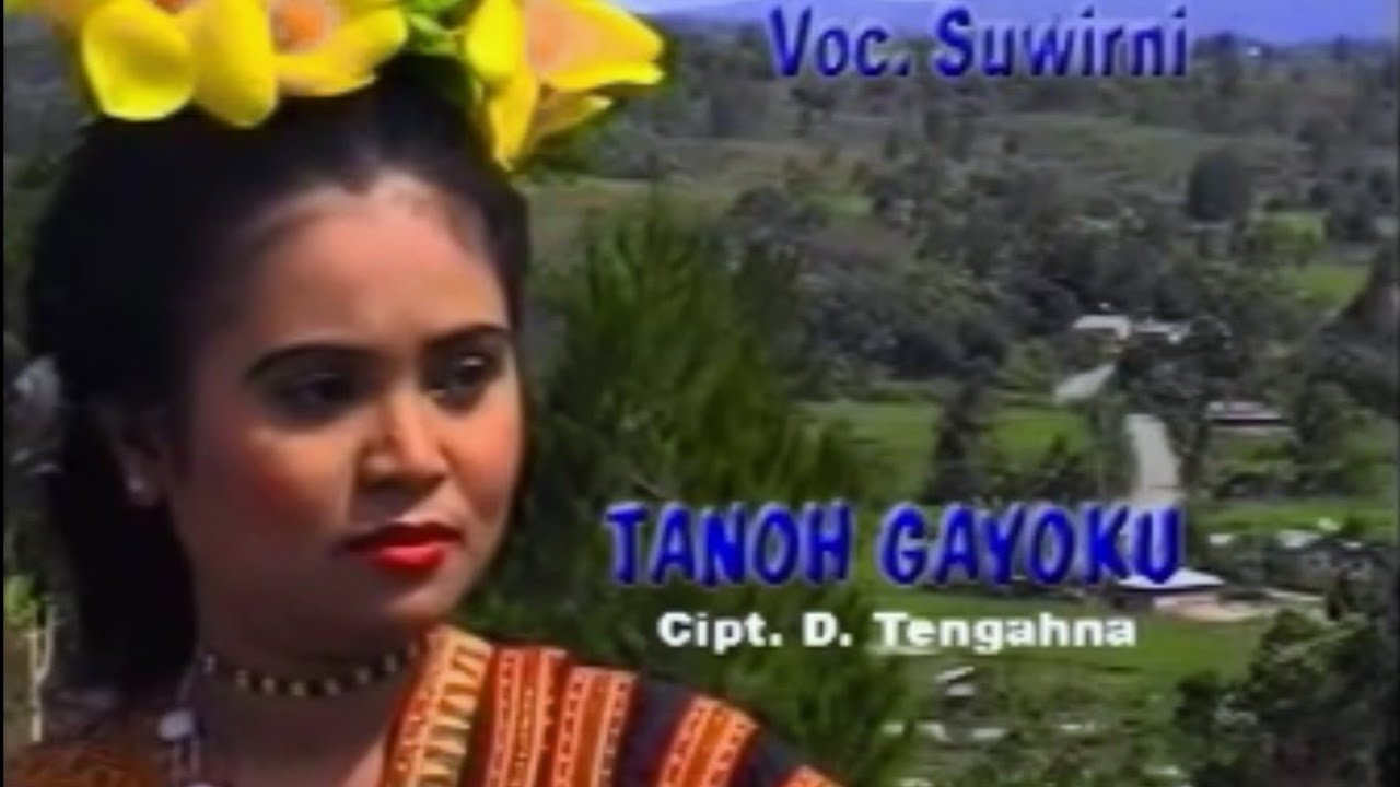 LAGU GAYO DARWIN TENGAHNA - TANOH GAYOKU - VOC. SWIRNI  (OFFICIAL MUSIC VIDIO)