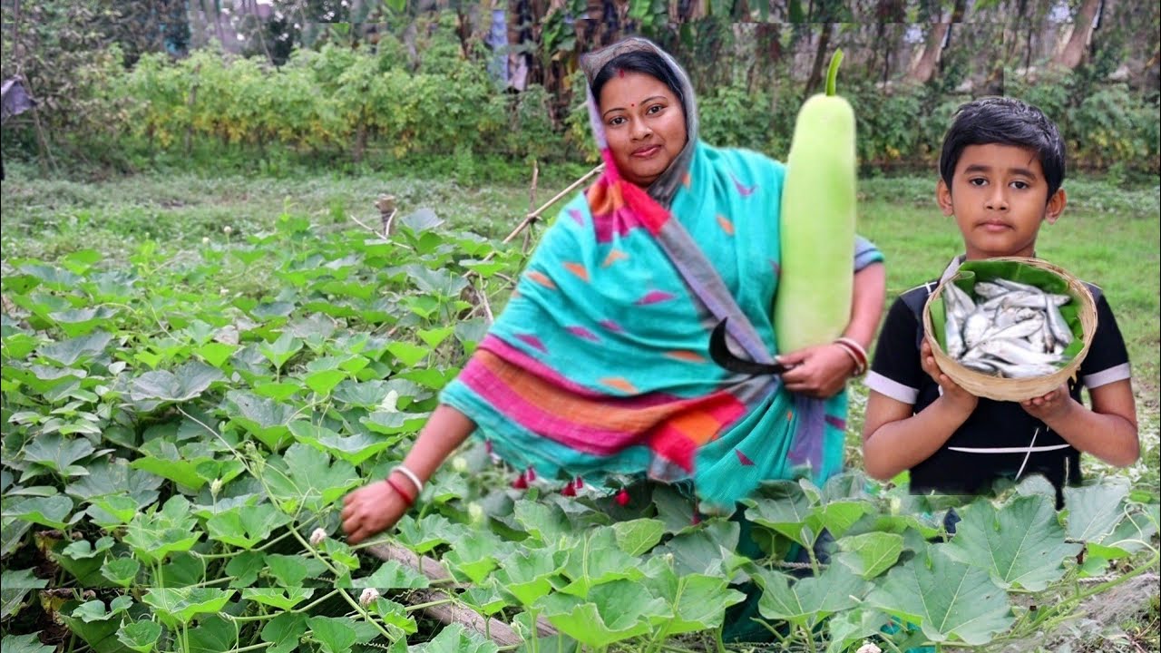 নদীর ছোটমাছ দিয়ে বাগানের তাজা লাউ রান্না আর গরম ভাতে লাউশাক ভাজা||fresh vegetable fish curry