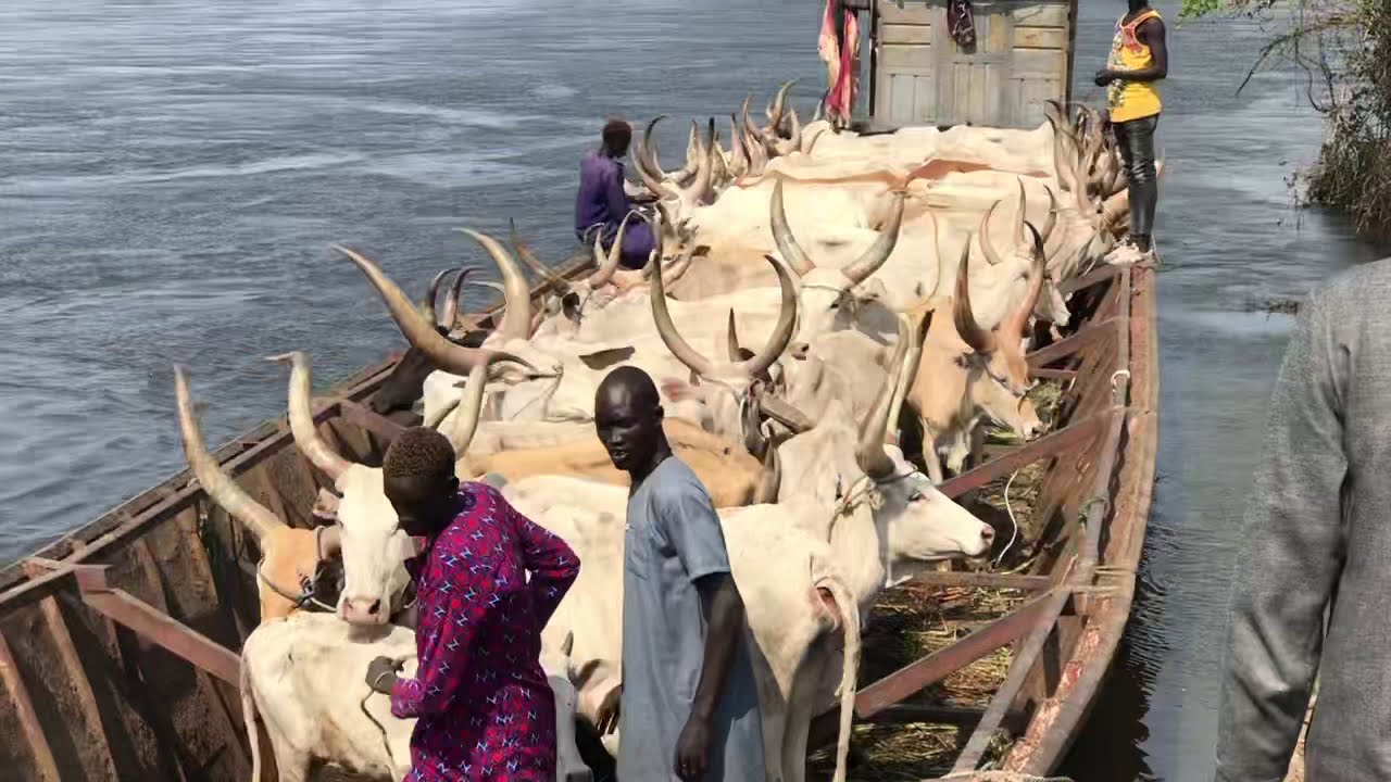 Dinka Bor being transported in the boat between shores of River Nile