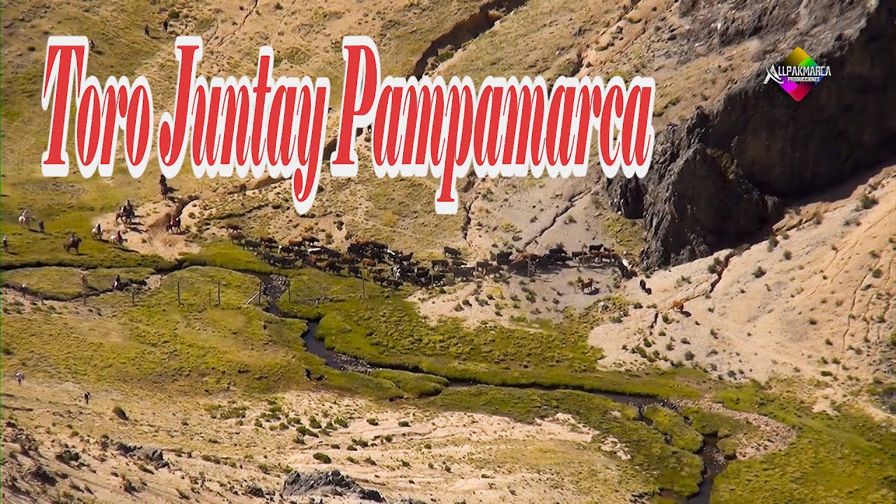 Toro Juntay PAMPAMARCA Aymaraes