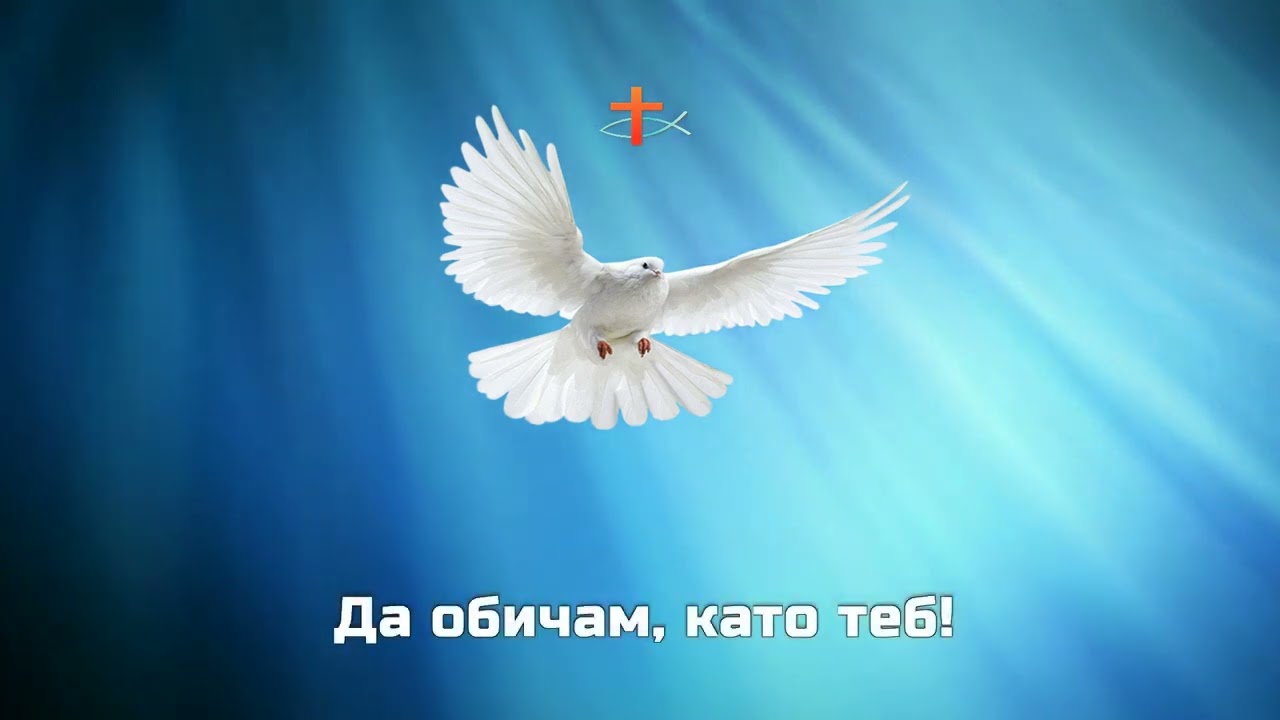 Любовта не презира & Инструментал ✔