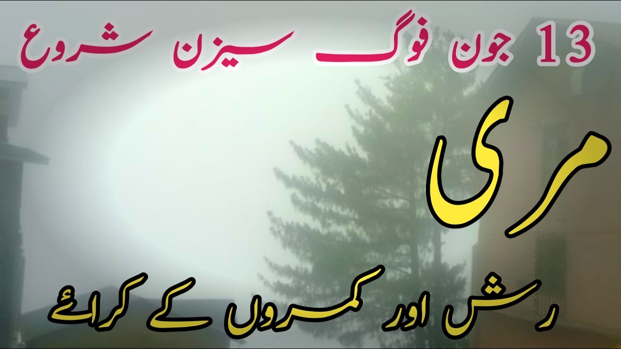 Murree live today #murree #murreeupdate Murree mall road #murreelivetoday #murree #murreemallroad