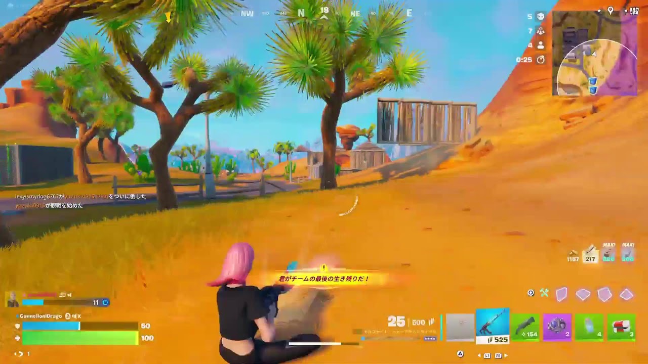 フォトナブレインロット交換しよ！