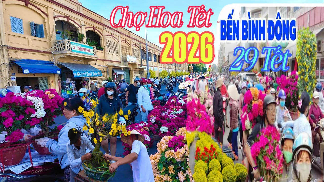 Quá Thê Thảm Trưa 29 Tết Bến Bình Đông / Kinh Hoàng Tắc Mai Hoa Bán Rẻ Như Cho 