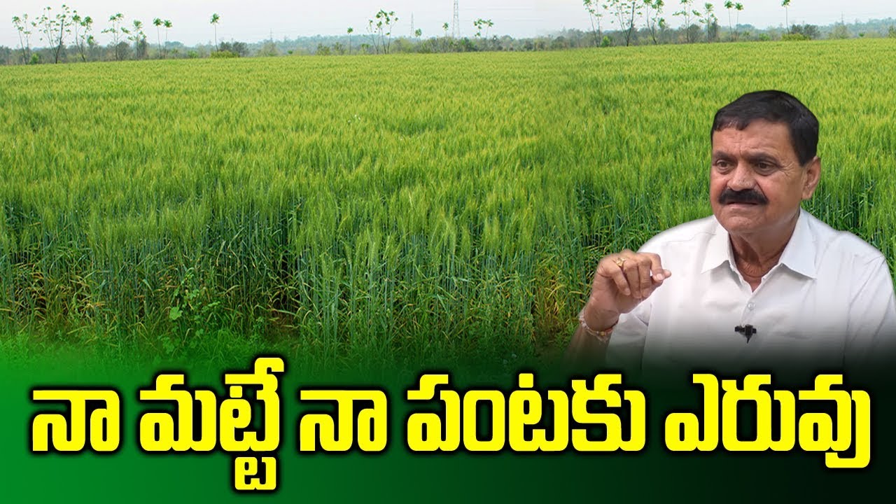 CVR METHOD: Success Story of Padmashri Award Winner Chintala Venkat Reddy|Ideal Farmer |SumanTVRythu
