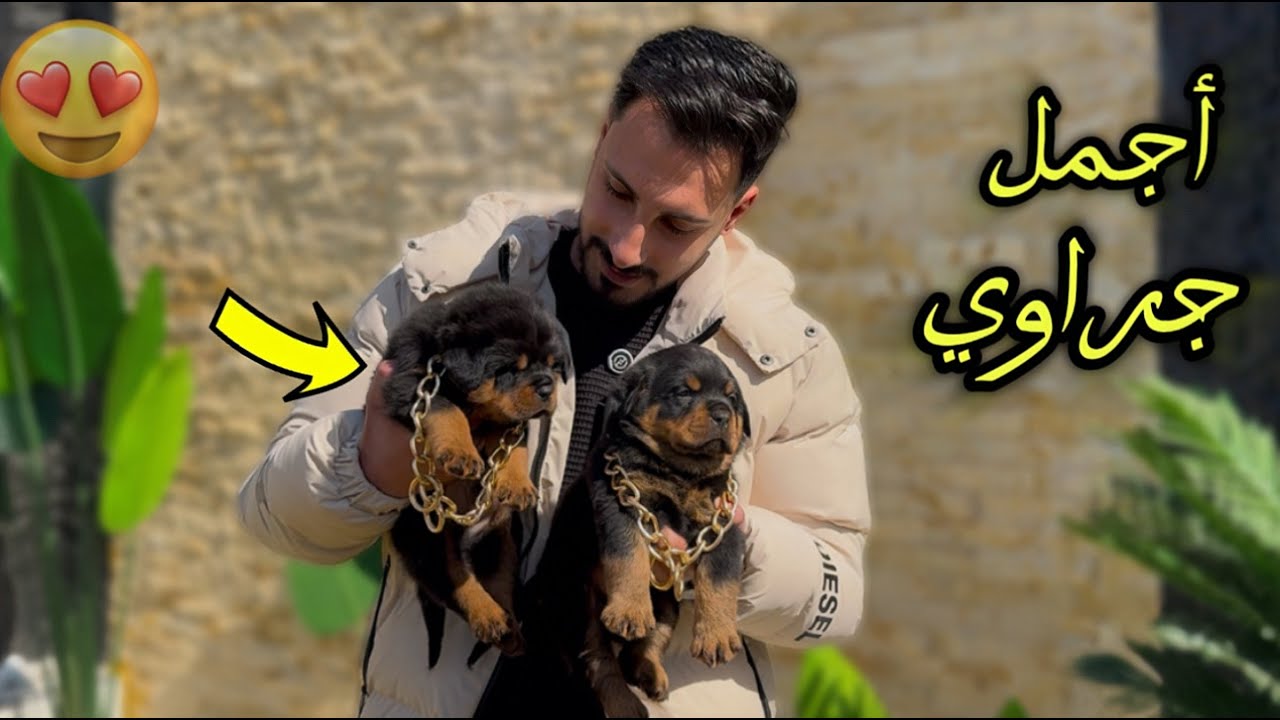 اشتريت جروين رود ويلر ولكن | افضل صانع محتوي😍