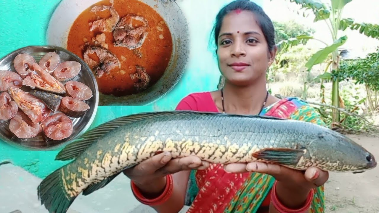 ଶେଉଳ ମାଛ | Shol mach jhol | Snakehead fish curry || Seula machha tarkari | Light fish curry | Odia
