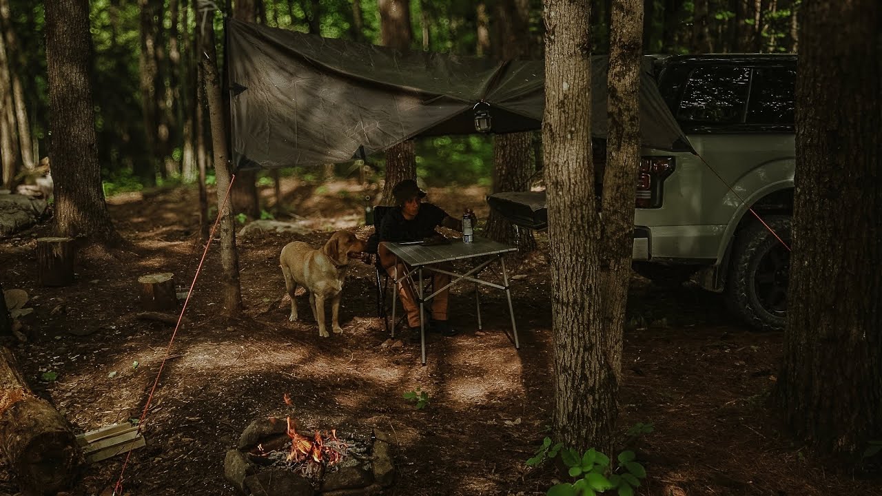 Quiet TRUCK CAMPING with my Labrador | TARP TENT | NATURE SOUND (ASMR)