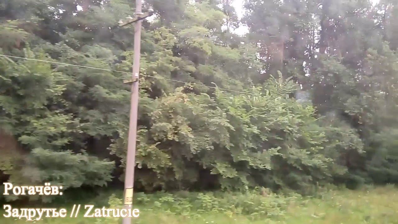 поездка с Рогачёва до Жлобина // ride from Rogachev to Zhlobin