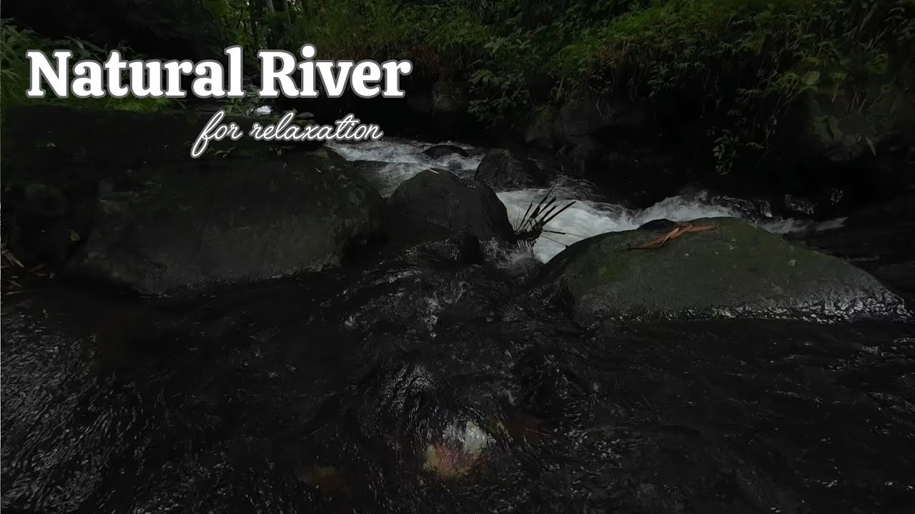 Calm River Flow in Nature 🌿 2 Hours of Gentle Water Sounds for Deep Sleep, Focus & Relaxation