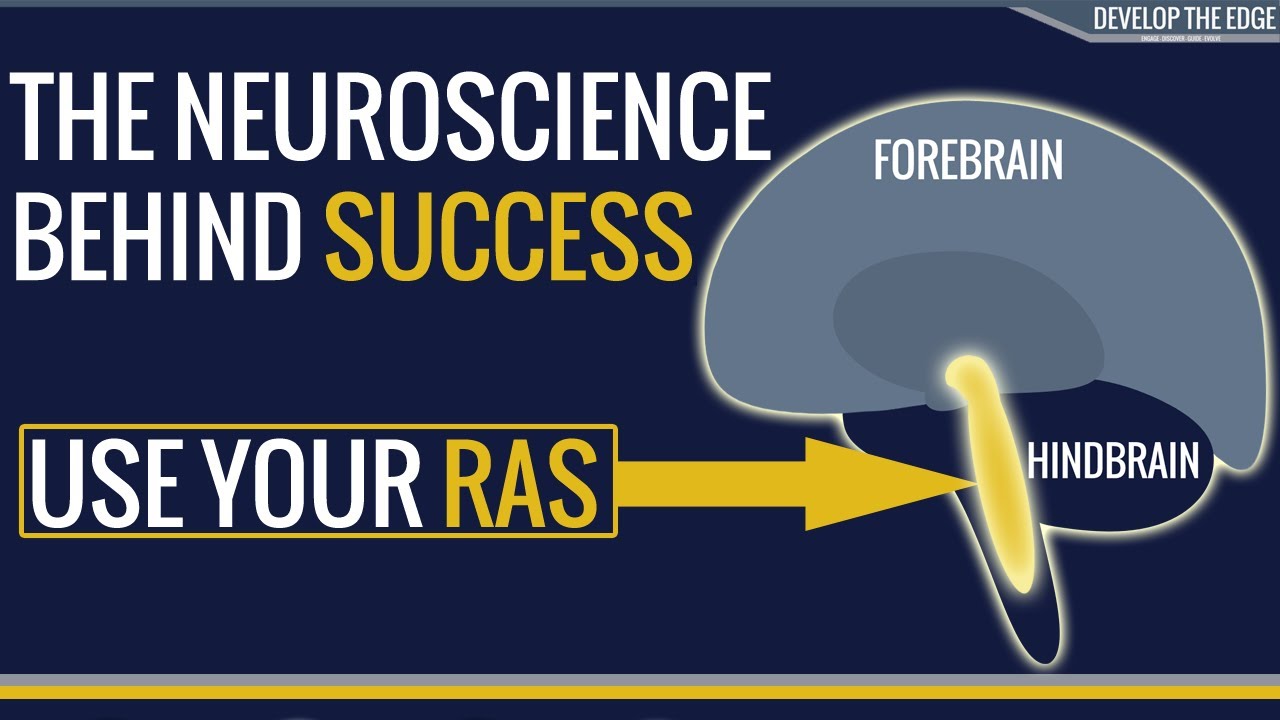 The Neuroscience of success - Use your Reticular Activating System (RAS)