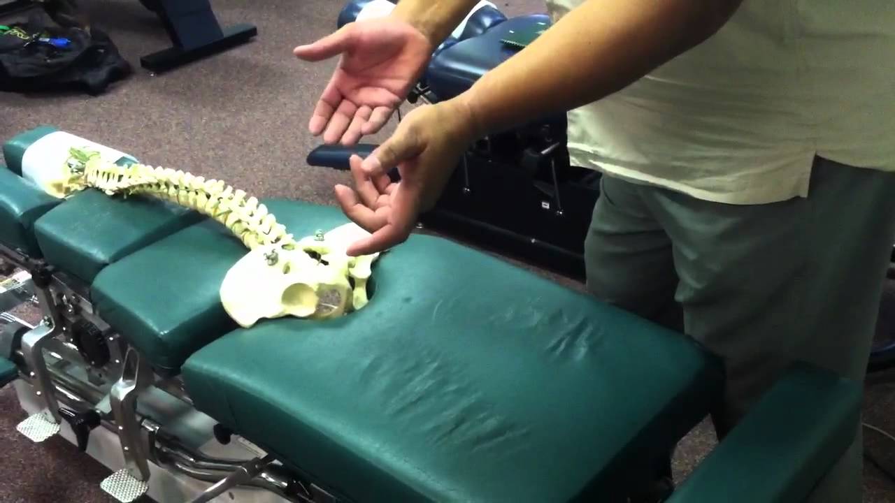 Thompson pelvic negative sacrum skeleton