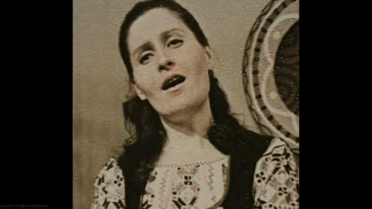Nina Ermurachi - Regret, că berzele se duc (1976)