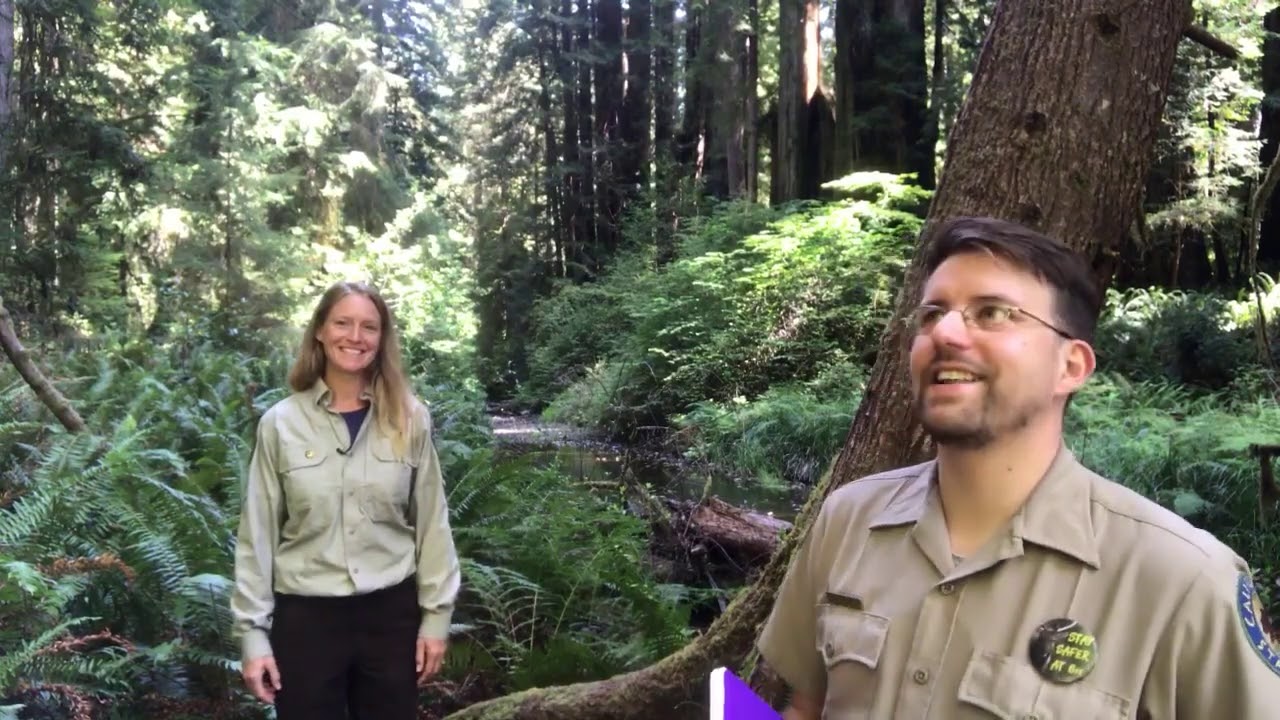 Biodiversity Week Interview with Biologist Marisa