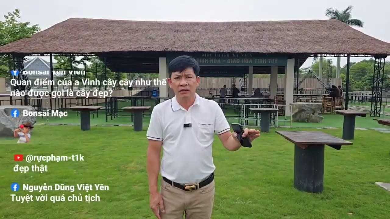 Phát trực tiếp của Bonsai Mạc Nam Định