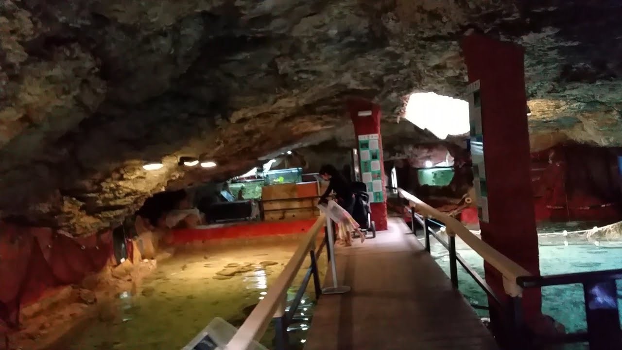 Das atemberaubende Aquarium Cap Blanc in Ibiza : Ein Blick in die Unterwasserwelt der Höhle