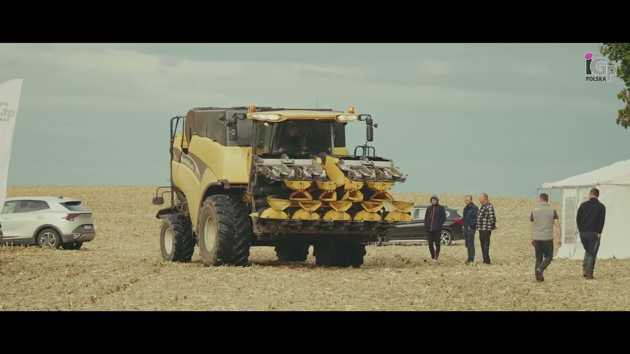 Dzień Kukurydzy IGP Polska - Poznaj plon z hektara każdej z odmian 🌽