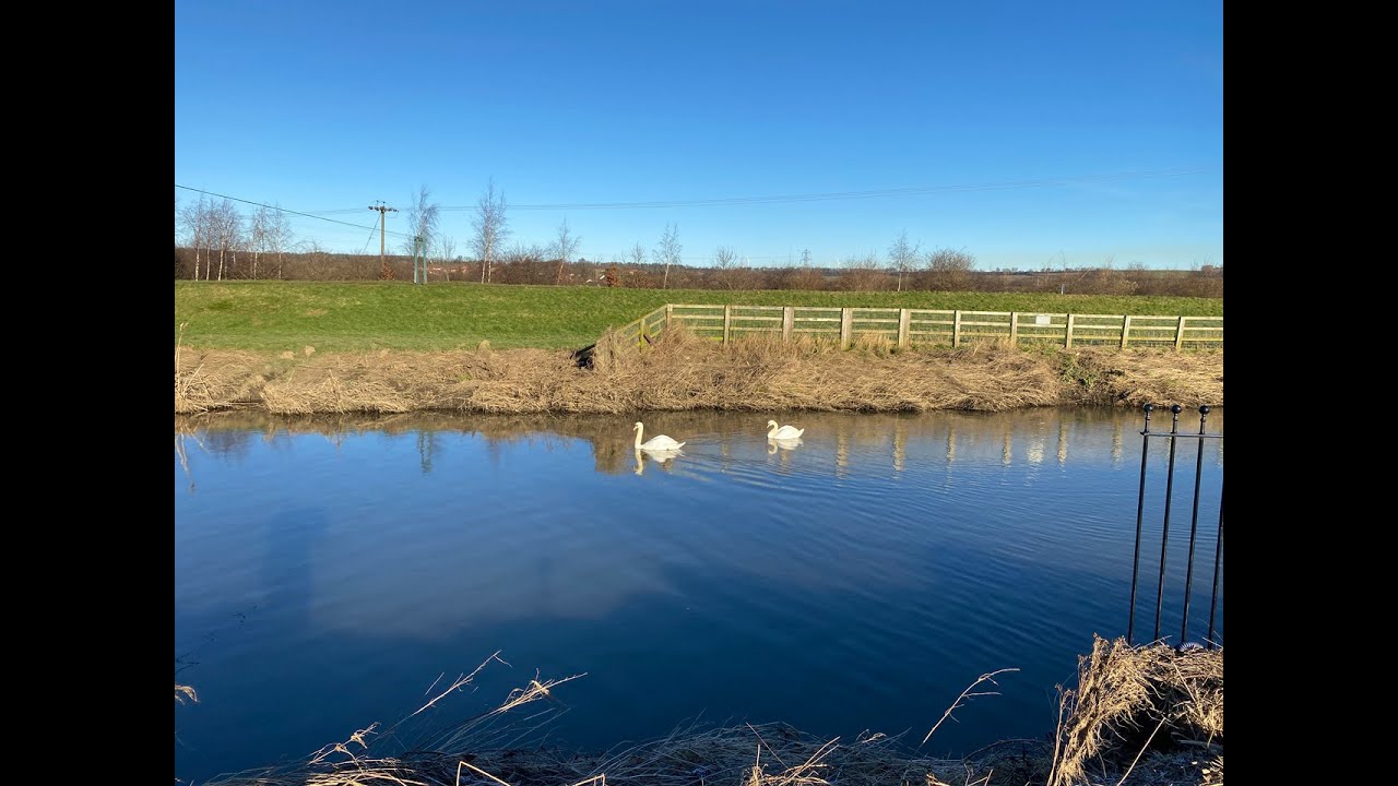 Afternoon stroll along the Dearne