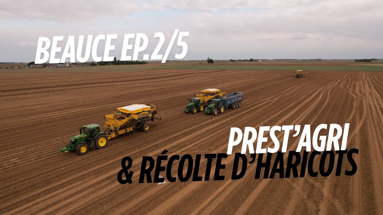 Arrachage de Pomme de Terre chez Prest’Agri & Récolte d’haricots ! Beauce Ep.2/5 🇫🇷🥔