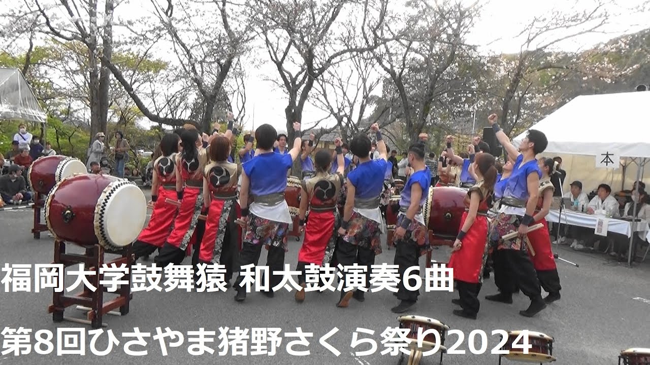 福岡大学鼓舞猿 和太鼓演奏6曲　第8回ひさやま猪野さくら祭2024Fukuoka University Kobuzaru Japanese drum performance 6 pieces