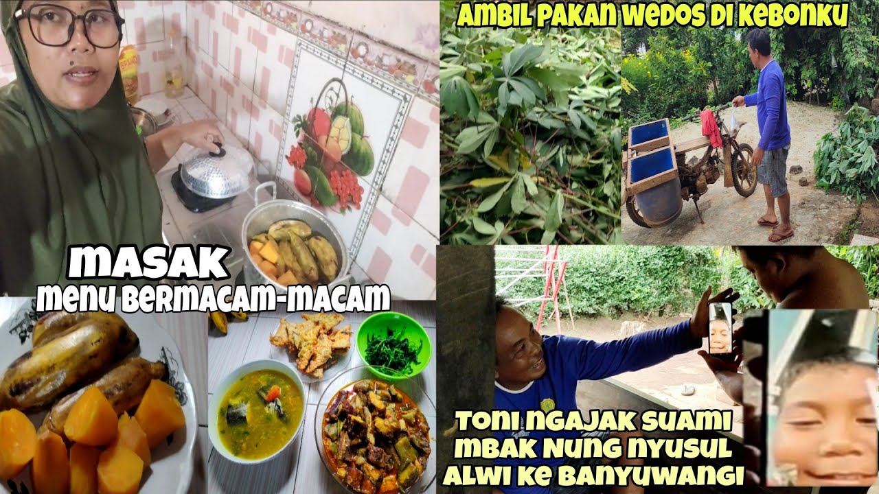Pagi-pagi Alwi viccal bapaknya dan juga Toni malah Toni ngajak nyusul ke Banyuwangi ⁉️