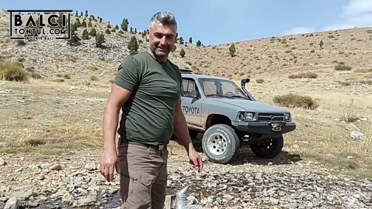 dağda yabani bal arısı arama