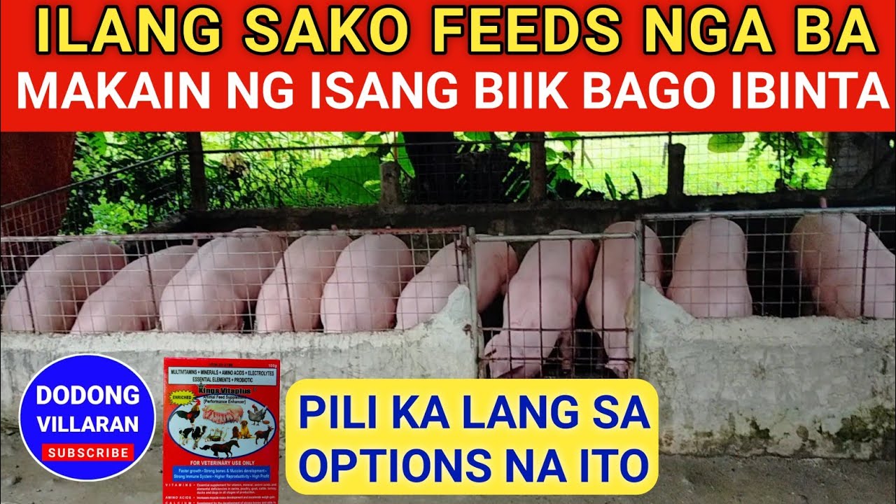 ILANG Sako FEEDS nga ba makain ng biik Bago ibinta / Pili ka lang sa options ito / Dodong Villaran