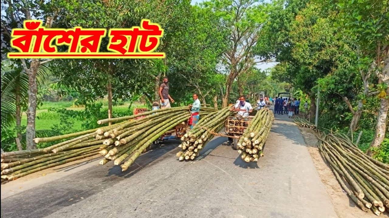 ১৫০ বছর পুরনো বাঁশের হাট .Bamboo's Market.Shah Ali vlogs