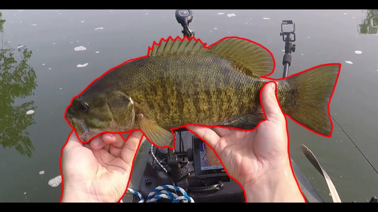 July Great Miami River Smallmouth Fishing