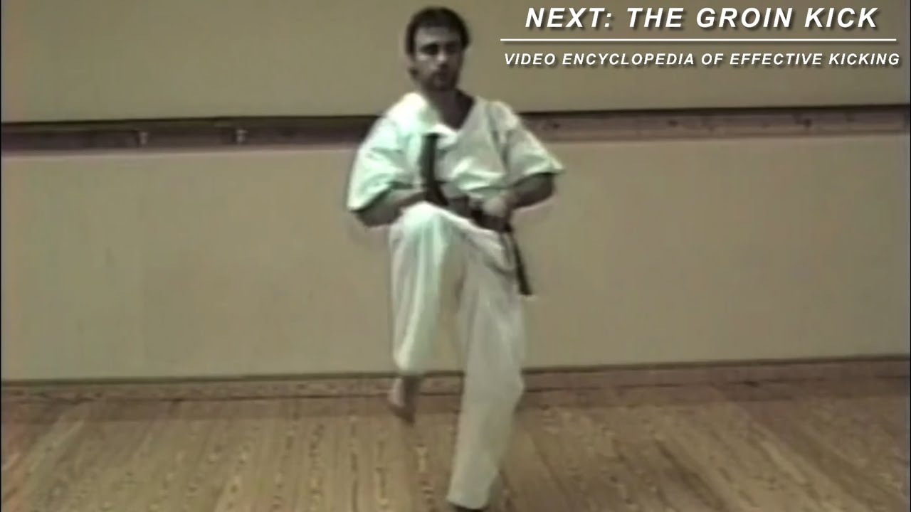 “How to Throw The Groin Kick” Tutorial CLIP (One of the 22 kicks you will master online…)