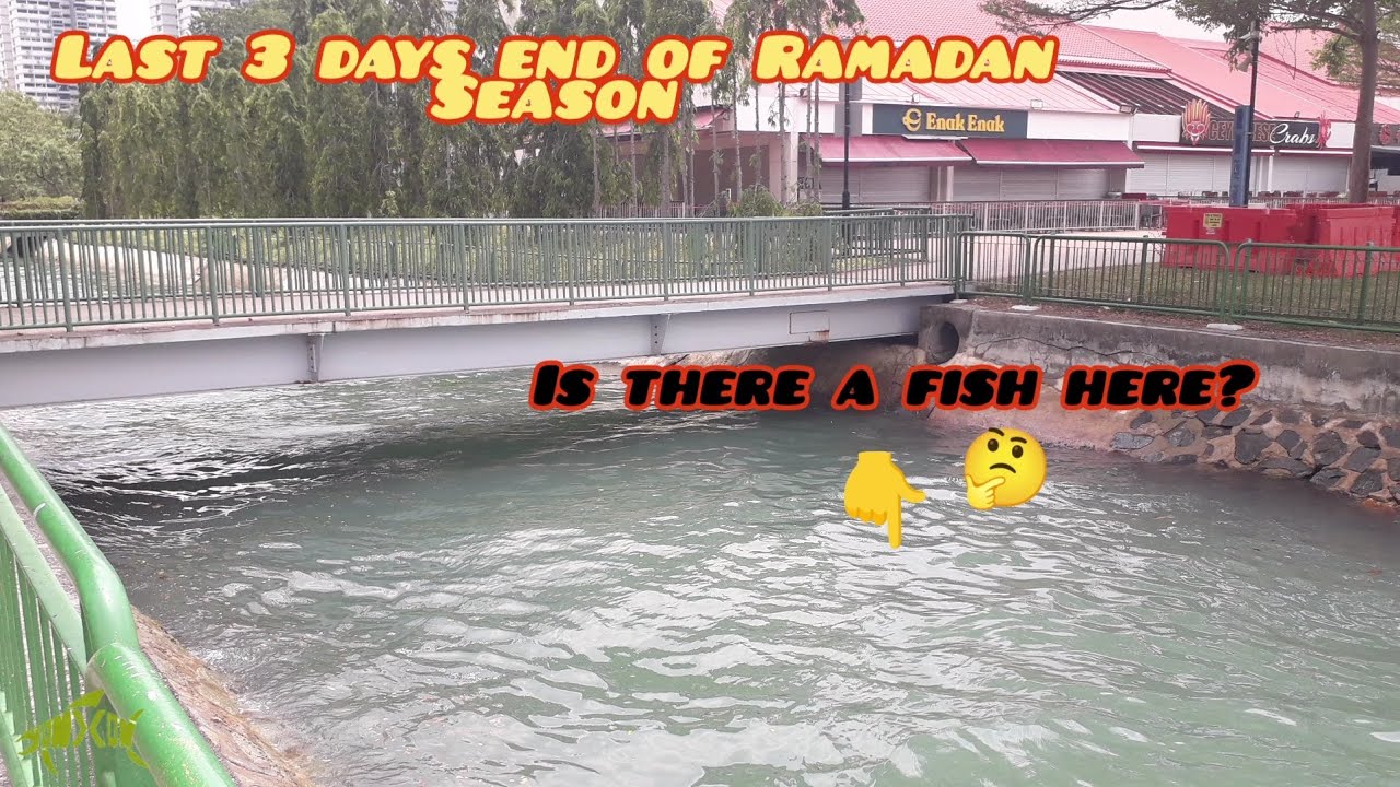 ON X ON #50-ECP canal near Enak Enak(UNLOCK NEW SPECIES)