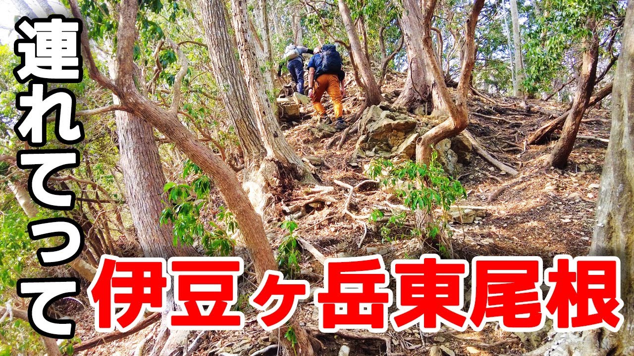 連れてって・第2回 | 伊豆ヶ岳東尾根 | 伊豆ヶ岳を視聴者さんとバリエーションハイク