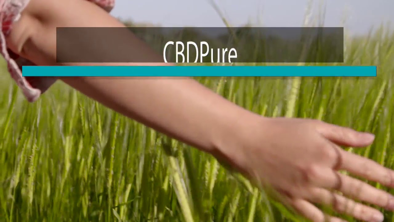CBD Pure Oil Review (CBDPure) Best CBD Oil Review