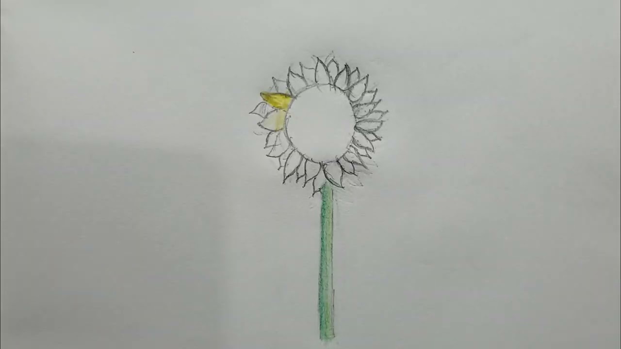 Easy way to draw a realistic sunflower 🌻