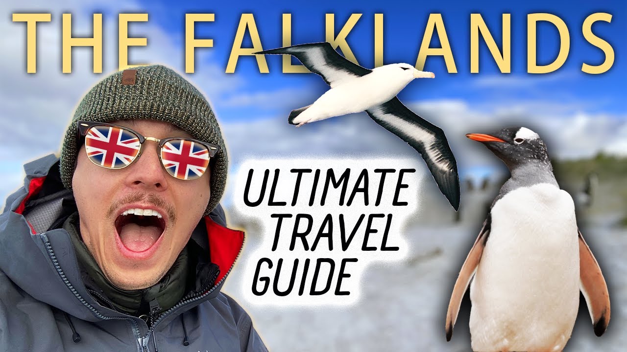 Falkland Islands | FINALLY a (good) travel guide + finding the RAREST penguin