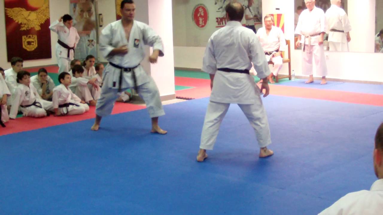 Dejan Nedev and Silvio Campari performing on karate seminar with Sensei Shirai in Skopje