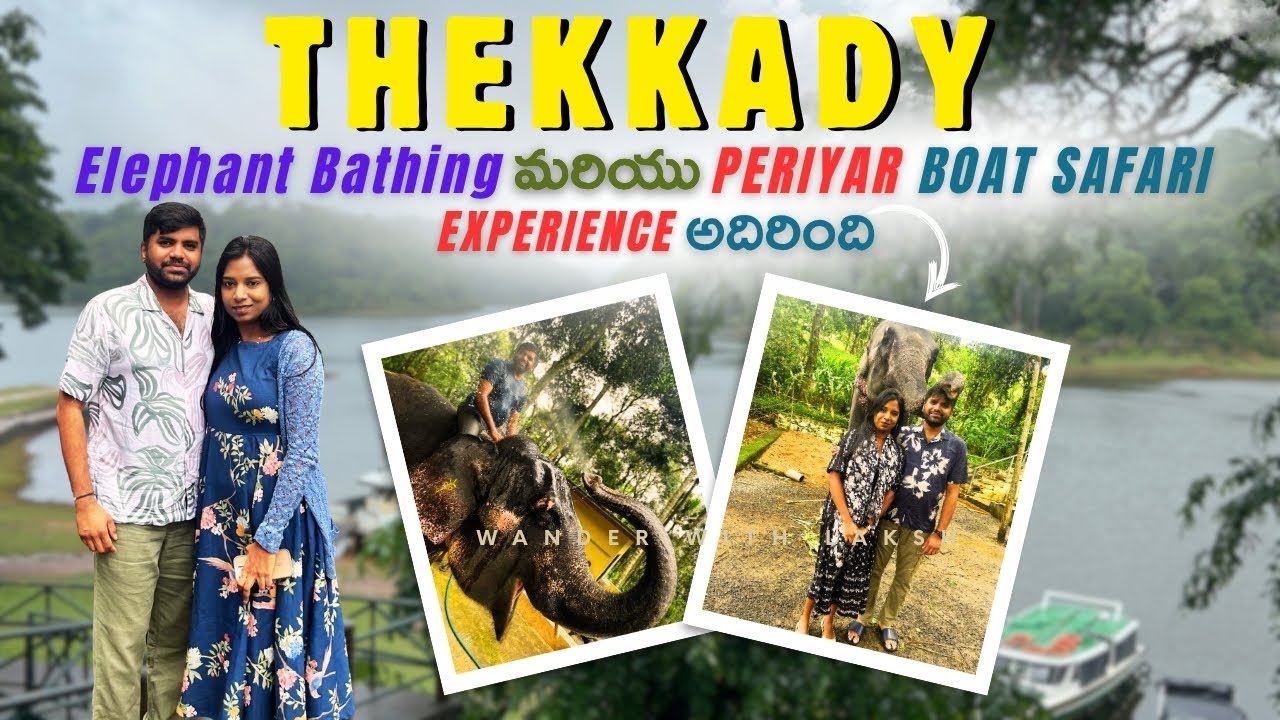 Thekkady Elephant Safari & Bathing | Periyar Tiger Reserve & Boating | WGH Poetree Best Hotel Kerala