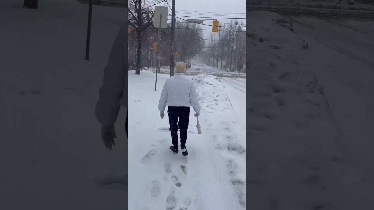 #winterstorm #snowstorm