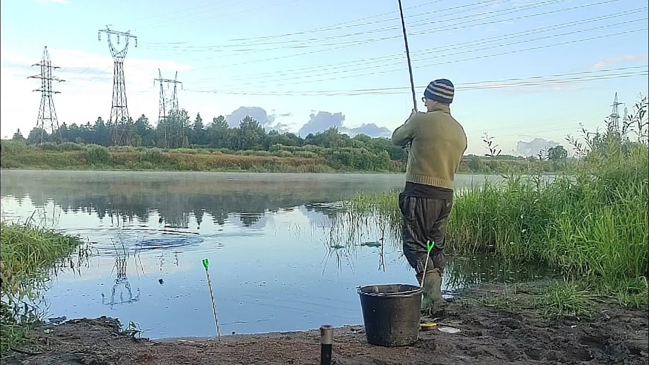Лещ зашёл в Реку . Ловлю на Фидер  Больших Лещей реки Волхов.