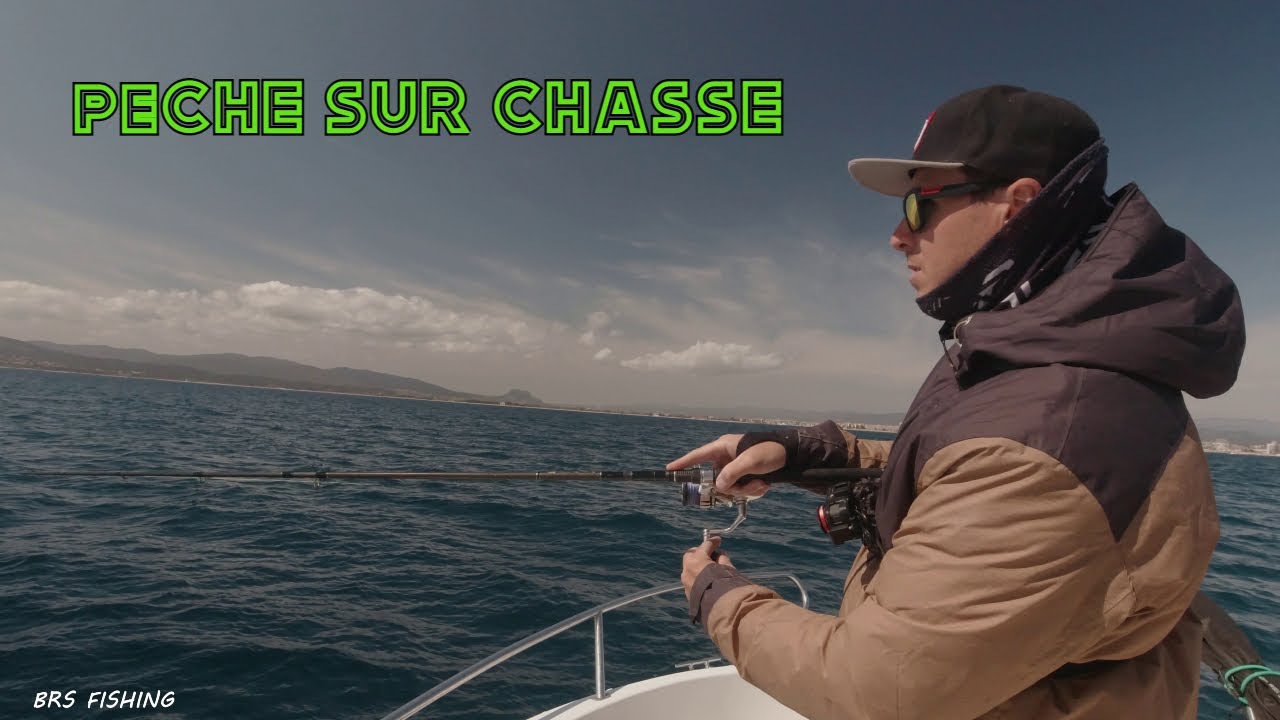 PECHE de la PELAMIDE