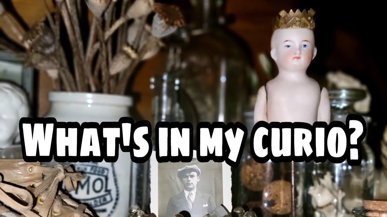 Curiosity Cabinet #2 Tour